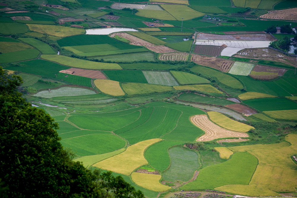 關(guān)于擴(kuò)大當(dāng)前農(nóng)業(yè)農(nóng)村基礎(chǔ)設(shè)施建設(shè)投資的工作方案