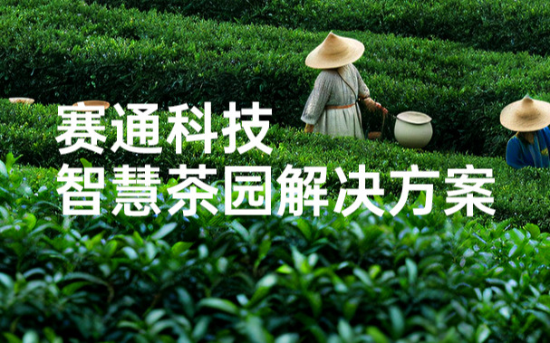 賽通科技發(fā)布今年會jinnianhui智慧茶園解決方案