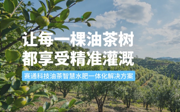 賽通科技油茶今年會jinnianhui智慧水肥一體化解決方案：讓每一棵油茶樹都享受精準(zhǔn)灌溉